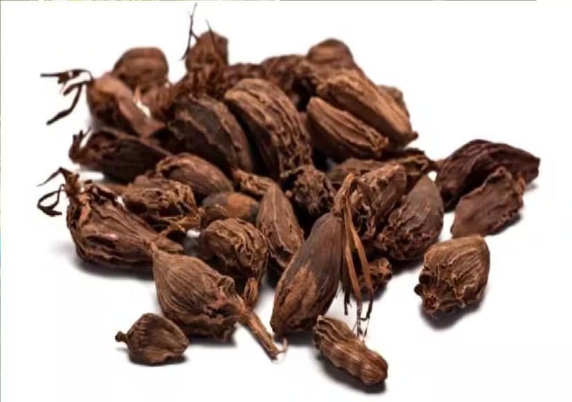 বড় এলাচে ডিটক্সিফাইং বৈশিষ্ট্য রয়েছে যা শরীর থেকে বিষাক্ত পদার্থ দূর করতে সাহায্য করে। সপ্তাহে একবার বা দুবার এটি খাওয়া উপকারী হতে পারে, কারণ এটি মূত্রবর্ধক হিসেবে কাজ করে এবং কিডনি, মূত্রনালী এবং মূত্রাশয় থেকে বর্জ্য পদার্থ বের করে দিতে সাহায্য করে। সপ্তাহে একবার বড় এলাচ খেলে মুখের দুর্গন্ধ দূর হতে পারে, কারণ এর অ্যান্টিব্যাকটেরিয়াল বৈশিষ্ট্য ব্যাকটেরিয়া কমায়। তবে, আরও ভাল ফলাফলের জন্য, এটি নিয়মিত চিবানোর পরামর্শ দেওয়া হয়, যেমন দিনে একবার বা প্রতিবার খাবারের পরে। এটি হজমশক্তি উন্নত করতেও সাহায্য করে।