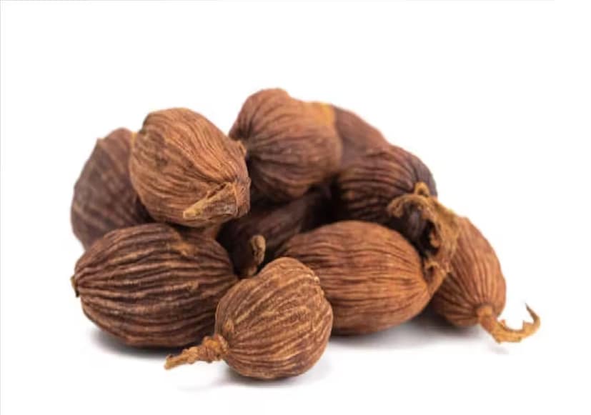 বড় এলাচ রোগ প্রতিরোধ ক্ষমতা শক্তিশালী করতে সাহায্য করতে পারে। এতে অ্যান্টিঅক্সিডেন্ট এবং অ্যান্টিভাইরাল বৈশিষ্ট্য রয়েছে, যা শরীরকে রোগজীবাণুর বিরুদ্ধে লড়াই করতে সাহায্য করে। রোগ প্রতিরোধ ক্ষমতা বৃদ্ধির জন্য নিয়মিত এটি খাওয়া ভাল।