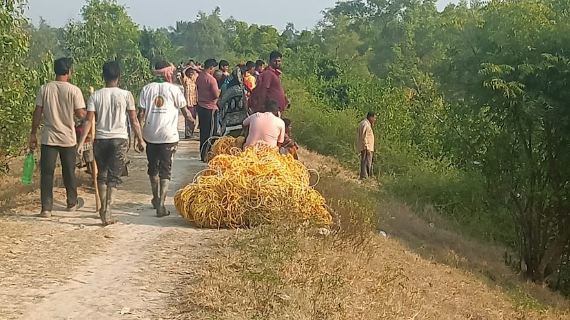 মৈপীঠের পেটকুলচাঁদ ব্রিজ সংলগ্ন পূর্ব গুড়গুড়িয়া গ্রাম। সেই গ্রামেই বাঁধের রাস্তার পাশে চার জানুয়ারি বাঘের পায়ের ছাপ দেখা গিয়েছিল। তখন প্রবল আতঙ্ক ছড়ায়। এই বাঁধের রাস্তা থেকে কিছুদূর এগলেই রয়েছে কংক্রিটের রাস্তা।