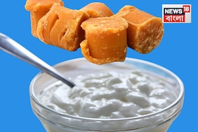 শীতের দিনে যত ইচ্ছে গুড় খান! তার সঙ্গে দই খেলেই কিন্তু মহা বিপদ... জানুন বিশেষজ্ঞ কী বলছে