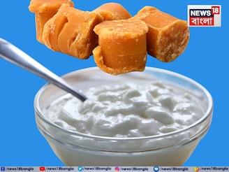 শীতের দিনে যত ইচ্ছে গুড় খান! তার সঙ্গে দই খেলেই কিন্তু মহা বিপদ... জানুন বিশেষজ্ঞ কী বলছে