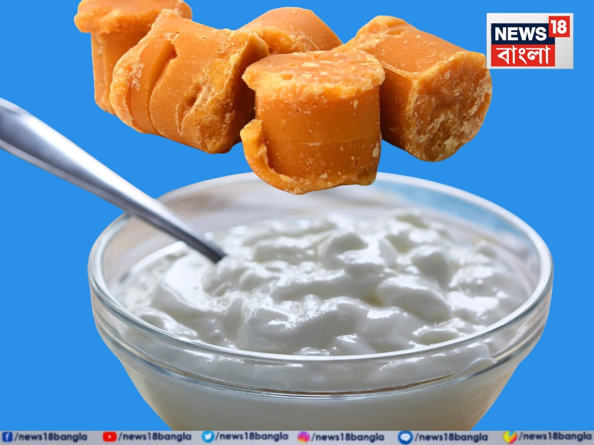 শীতের দিনে যত ইচ্ছে গুড় খান! তার সঙ্গে দই খেলেই কিন্তু মহা বিপদ... জানুন বিশেষজ্ঞ কী বলছেন