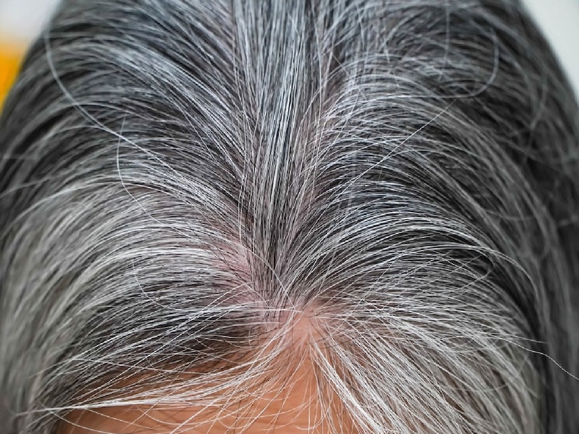 *সপ্তাহে অন্তত দু'দিন এই ঘরোয়া প্রতিকার অনুসরণ করলে আপনার গ্রে হেয়ার সহজেই কালো দেখাবে, স্বাস্থ্যকর এবং চকচকে রাখবে। যদি আপনার লম্বা এবং ঘন চুল থাকে, তাহলে পেস্টে উপাদানের পরিমাণ বাড়িয়ে দিন এবং তারপর এই প্রতিকার ব্যবহার করুন। সংগৃহীত ছবি। 