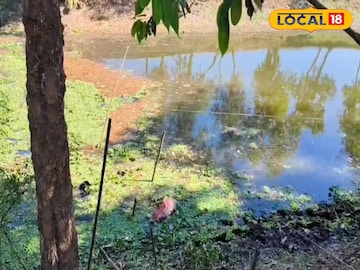 এই খাল থেকে মৃতদেহ উদ্ধার হয়েছে এই খাল থেকে মৃতদেহ উদ্ধার হয়েছে