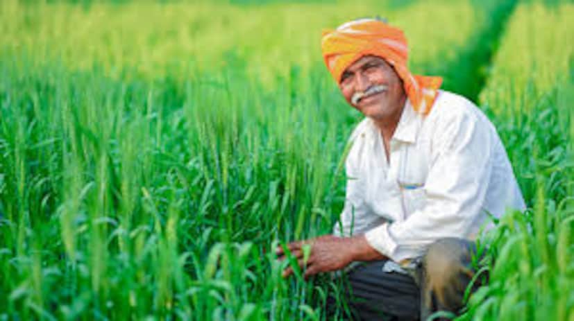  কিন্তু, এর মাঝেই চিন্তার ভাঁজ দেখা দিয়েছে কৃষিক্ষেত্রে। কিছুটা হলেও পিছিয়ে পড়েছে এই ক্ষেত্র। এইখানে বৃদ্ধির হার ৩.৫ শতাংশ। অন্যদিকে, চাঙ্গা হয়েছে বিদ্যুৎ, গ্যাস এবং জল ক্ষেত্র সেখানে বৃদ্ধির হার ৪.৪ শতাংশ।