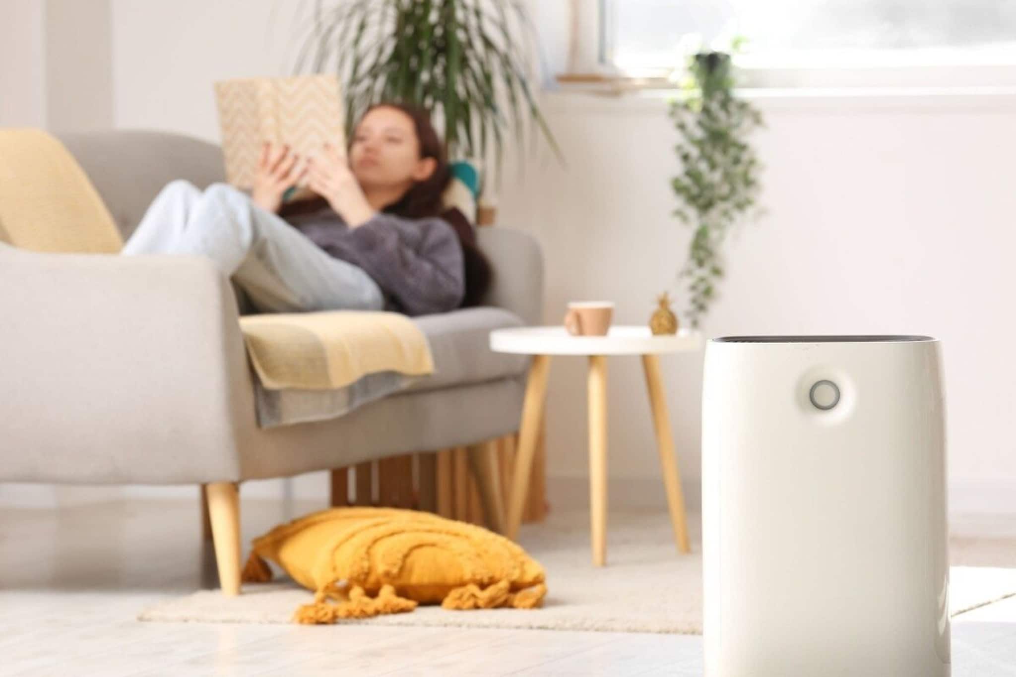 Air Purifier Under 10000: ধোঁয়াশা-ভারী মরসুম শুরু! ফুসফুসের সংক্রমণ থেকে বাঁচুন! শীতের দূষণ মোকাবিলায় এই ৫টি বাজেট এয়ার পিউরিফায়ার আদর্শ