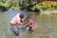 বন্যায় ভেসে যাওয়া 'লাকি'র হলং নদীতে মহানন্দে স্নান, ভিডিও দেখে মুগ্ধ নেটপাড়া