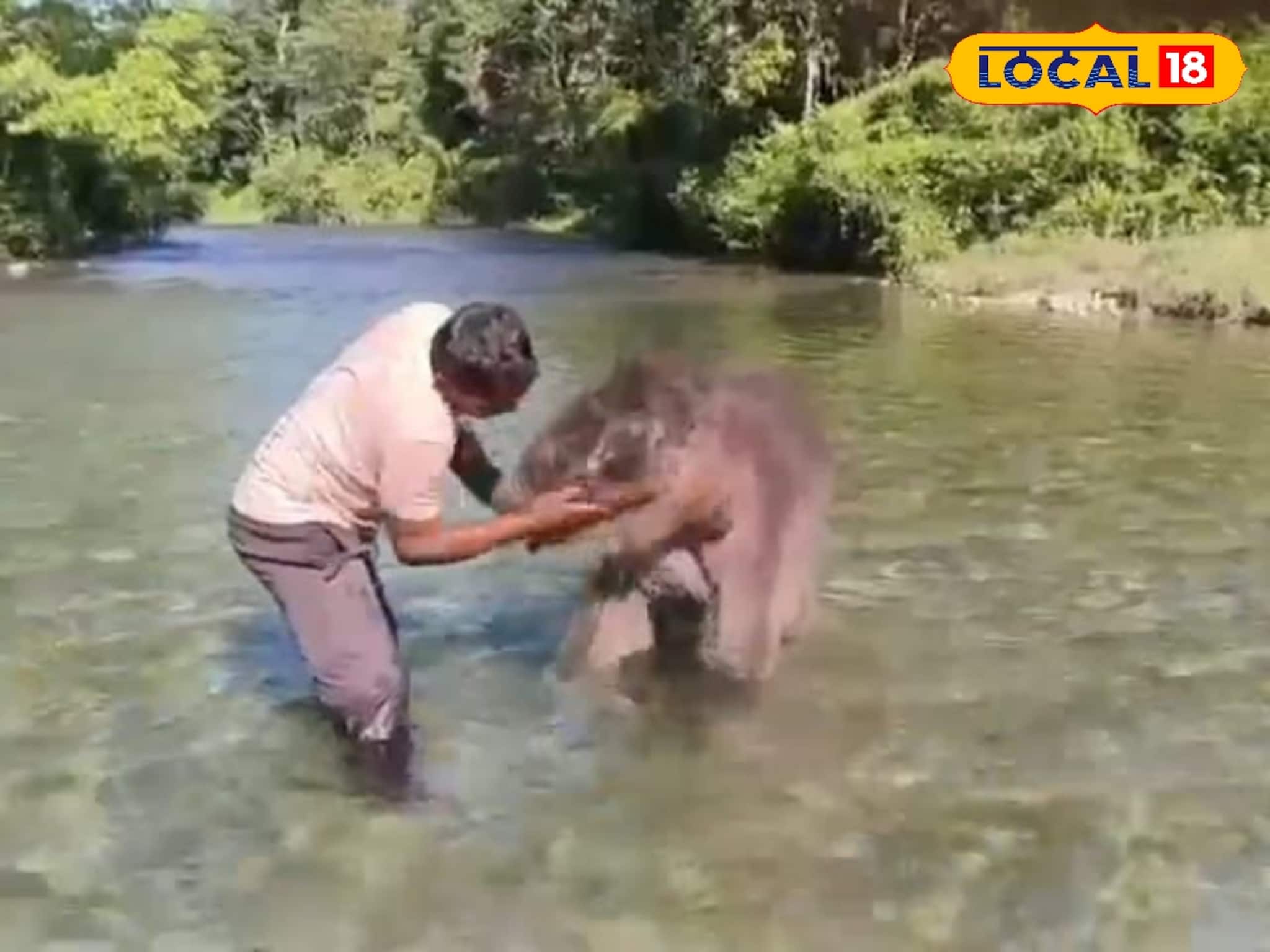 Alipurduar News: বন্যায় ভেসে গিয়েছিল, এখন হলং নদীতে নেমে আনন্দে স্নান করছে সেই হস্তিশাবক! ভিডিও দেখে মুগ্ধ নেটপাড়া