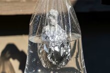 কেন হঠাৎ বারান্দায় ব্যবহার অ্যালুমিনিয়াম ফয়েল? কারণটা অবাক করবে আপনাকেও!