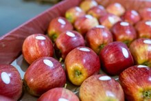 একটি আপেল... মহৌষধি, সর্বরোগহরা! ডায়াবেটিস রোগীদের জন্য আশীর্বাদ, গাঁটের ব্যথারও ওষুধ