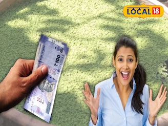 ৩ দিনে ডবল, অ্যাজোলা চাষ বাড়তি আয়ের স্বপ্ন দেখাচ্ছে গ্রামীণ মানুষদের