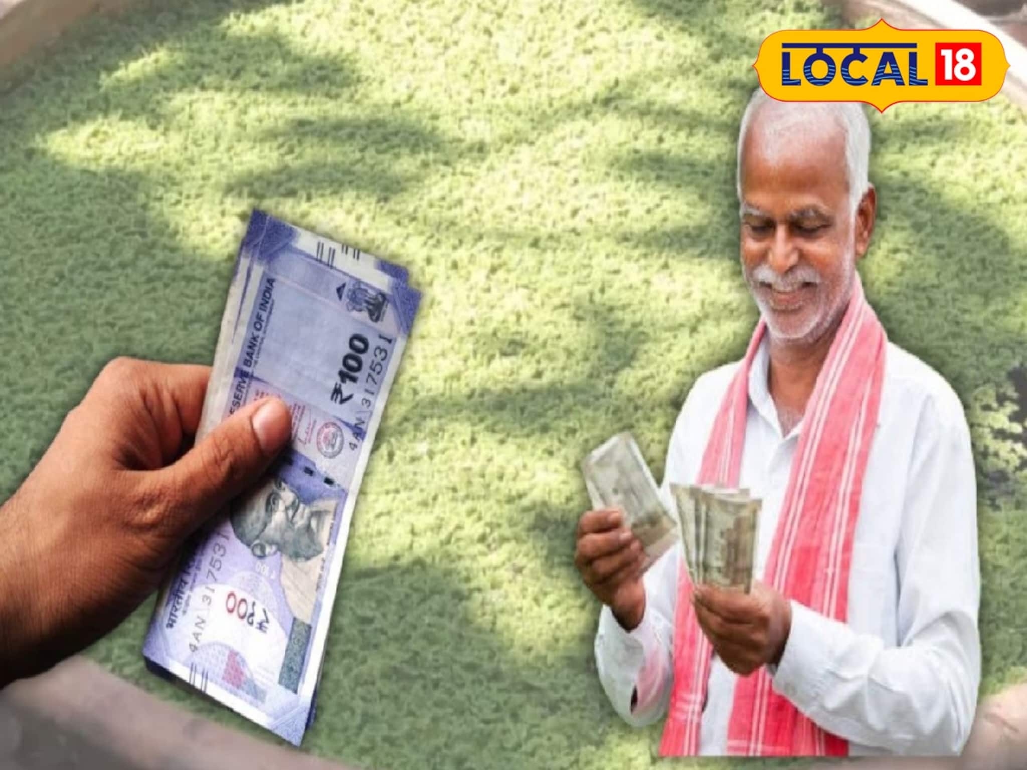 Business Idea: প্লাস্টিকের ড্রাম, সামান্য জলেই দুর্দান্ত বিজনেস আইডিয়া! ৩ দিনে ডবল, অ্যাজোলা চাষ বাড়তি আয়ের স্বপ্ন দেখাচ্ছে গ্রামীণ মানুষদের