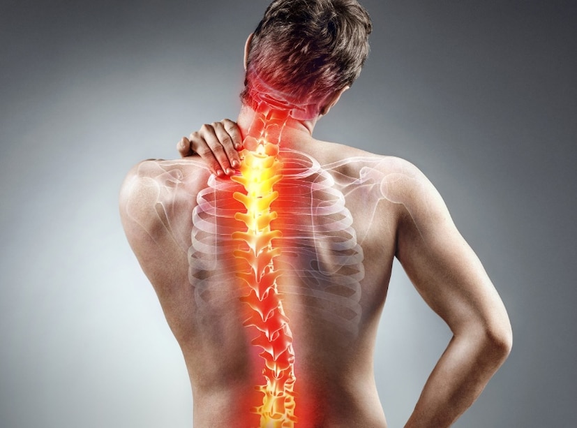 শীত মানেই জবুথবু অবস্থা, বিশেষ করে যাদের অর্থারাইটিস বা হাড়ের সমস্যা, তাঁদের জন্য খুবই বেদনাদায়ক৷ কারণ শীতে বাড়ে ব্যথা৷ ফলে যাঁদের হাড়ের ব্যথার সমস্যা থাকে, তাঁরা শীতে খুব কষ্ট পান৷ অনেক সময় শীতে শরীরে ভিটামিন ডি-র পরিমাণ কমতে থাকে৷ যার ফলে হাড়ের ব্যথা অনেকটা বাড়ে৷ আপনার হাতের কাছেই রয়েছে মহৌষধি! যা এসব ব্যথা বেদনা থেকে মুক্তি দিতে পারে৷ কীভাবে তা ব্যবহার করবেন, জেনে নিন৷ 