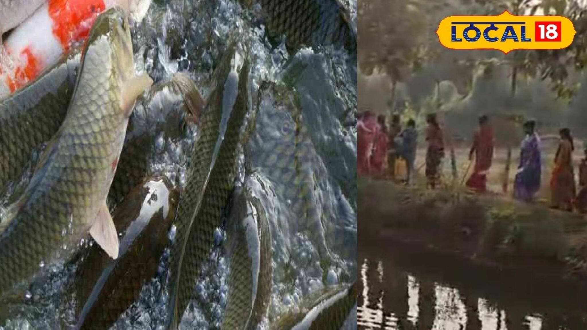 Fish Farming: মাছ চাষে বাড়বে উৎপাদন, আসবে মোটা টাকা! মহিলাদের হাতে নয়া ফর্মুলা, রানিবাঁধে দ্বিগুণ আয়ের দিশা