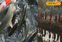 Fish Farming: মাছ চাষে বাড়বে উৎপাদন, আসবে মোটা টাকা! মহিলাদের হাতে নয়া ফর্মুলা, রানিবাঁধে দ্বিগুণ আয়ের দিশা
