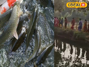 পুকুরের