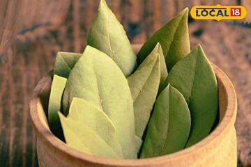 তেজপাতার তেজেই তৈরি হবে প্রেম—লক্ষ্মীলাভের যোগ, ঘর থেকে দূর হবে নেতিবাচকতা, জানুন পন্থা তেজপাতার তেজেই তৈরি হবে প্রেম—লক্ষ্মীলাভের যোগ, ঘর থেকে দূর হবে নেতিবাচকতা, জানুন পন্থা