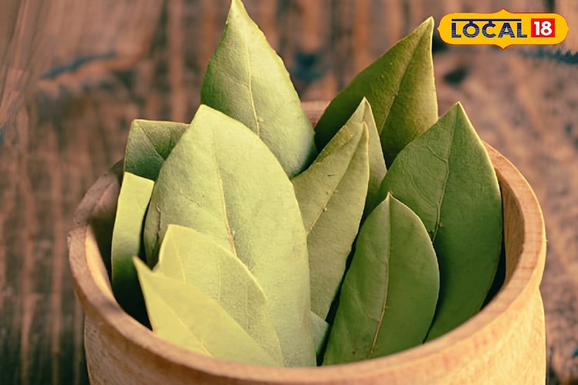 রান্নাঘরের অতি প্রয়োজনীয় সামগ্রীর মধ্যে একটি হল তেজপাতা। প্রাচীন কাল থেকে বহু ভেষজ গুণের অধিকারী এই তেজপাতা। প্রাচীন ভারতীয় অ্যারোমা থেরাপি অনুসারে, তেজপাতার সুগন্ধ শরীরও মনে ইতিবাচক প্রভাব এনে দেয়। রান্নাঘরের অতি প্রয়োজনীয় সামগ্রীর মধ্যে একটি হল তেজপাতা। প্রাচীন কাল থেকে বহু ভেষজ গুণের অধিকারী এই তেজপাতা। প্রাচীন ভারতীয় অ্যারোমা থেরাপি অনুসারে, তেজপাতার সুগন্ধ শরীরও মনে ইতিবাচক প্রভাব এনে দেয়।