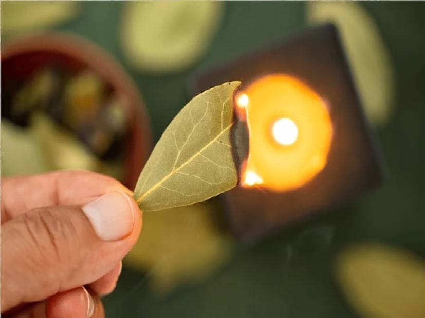 একটি পাত্রের মধ্যে পাঁচটি কিংবা সাতটি তেজপাতা নিয়ে ধুপদানিতে করে সেই তেজপাতার ধোঁয়া পুরো ঘরে ছড়ান। তেজপাতার সেই ধোঁয়া থেকে শুধু জীবাণু নয়, ঘরের মধ্যে অবস্থিত নেগেটিভ শক্তি ও দূর হয়ে যাবে। 