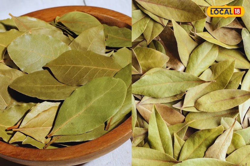 বিশিষ্ট জ্যোতিষী রামকৃষ্ণ সাহা জানান খাবারে ব্যবহার ছাড়াও এ তেজপাতার অনেক গুণাবলী। অবসাদ, উদ্বেগ বা কোনও মানসিক চাপ থেকে মুক্তি পেতে প্রাচীন কাল থেকে এই তেজপাতার ব্যবহার হয়ে আসছে।