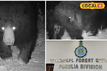 পুরুলিয়ার জঙ্গলে এবার ভাল্লুক, ধরা পড়ল বন দফতরের ট্র্যাপ ক্যামেরায়