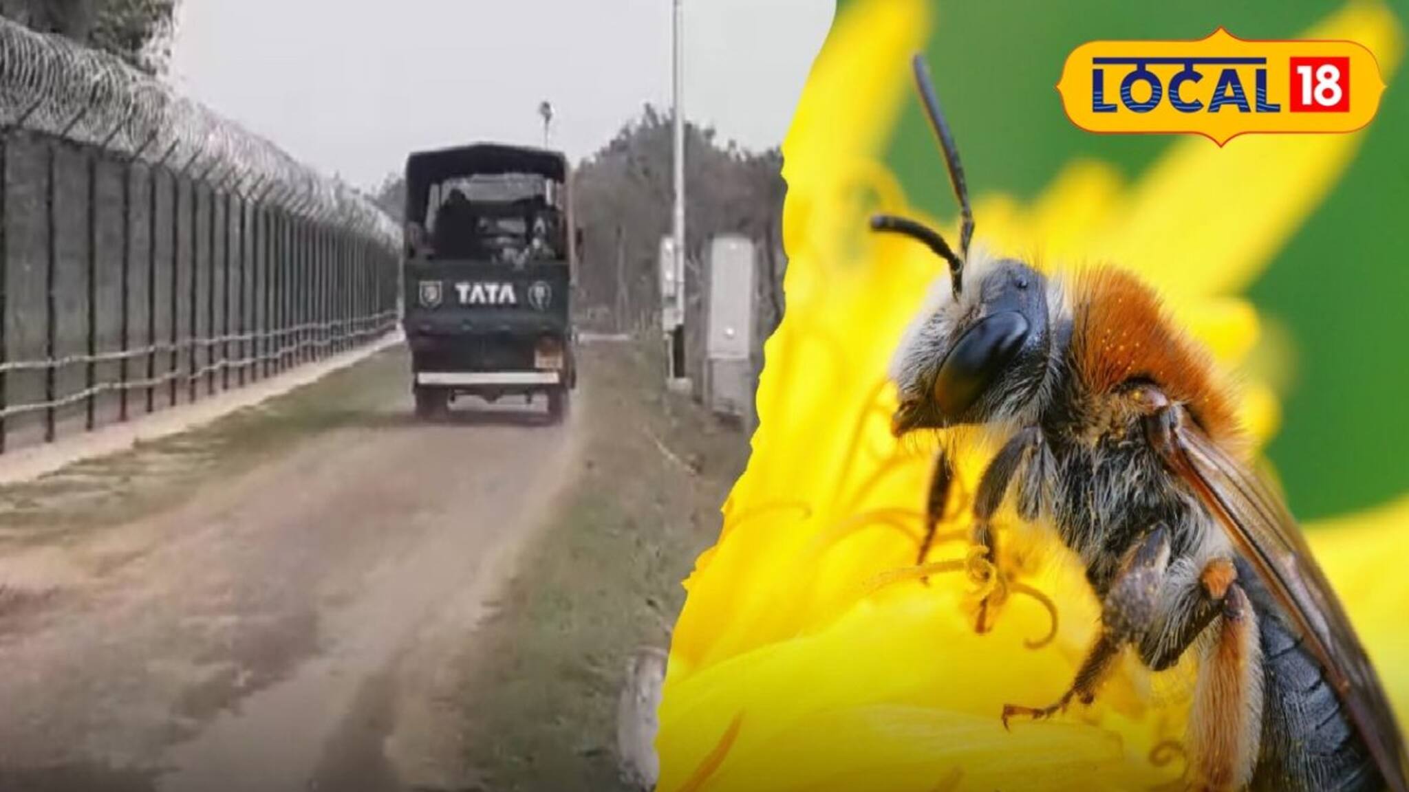 উপার্জনের নয়া দিশা, চোরাচালানকারীদের যম, দুই-ই হয়ে উঠবে মৌমাছি! বিশেষ প্রশিক্ষণ নিচ্ছে BSF