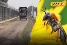 উপার্জনের নয়া দিশা, চোরাচালানকারীদের যম, দুই-ই হয়ে উঠবে মৌমাছি! বিশেষ প্রশিক্ষণ নিচ্ছে BSF