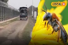 উপার্জনের নয়া দিশা, চোরাচালানকারীদের যম, দুই-ই হয়ে উঠবে মৌমাছি! নদিয়ায় বিশেষ প্রশিক্ষণ নিচ্ছে BSF