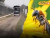 উপার্জনের নয়া দিশা, চোরাচালানকারীদের যম, দুই-ই হয়ে উঠবে মৌমাছি! বিশেষ প্রশিক্ষণ নিচ্ছে BSF
