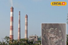 ভয়ে হাত-পা ঠাণ্ডা কর্মীদের, নর্দমায় পড়ে দৈত্যাকার অজগর! বক্রেশ্বরে তুমুল হইচই