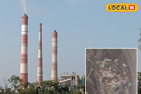 ভয়ে হাত-পা ঠাণ্ডা কর্মীদের, নর্দমায় পড়ে দৈত্যাকার অজগর! বক্রেশ্বরে তুমুল হইচই