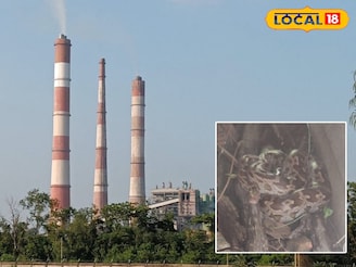 ভয়ে হাত-পা ঠাণ্ডা কর্মীদের, নর্দমায় পড়ে দৈত্যাকার অজগর! বক্রেশ্বরে তুমুল হইচই