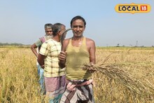 Agriculture News : বুক চাপড়াচ্ছেন চাষিরা, বাদামি শোষকের আক্রমণে নষ্ট ধান! ফসল রক্ষার উপায় বলে দিলেন কৃষি আধিকারিক