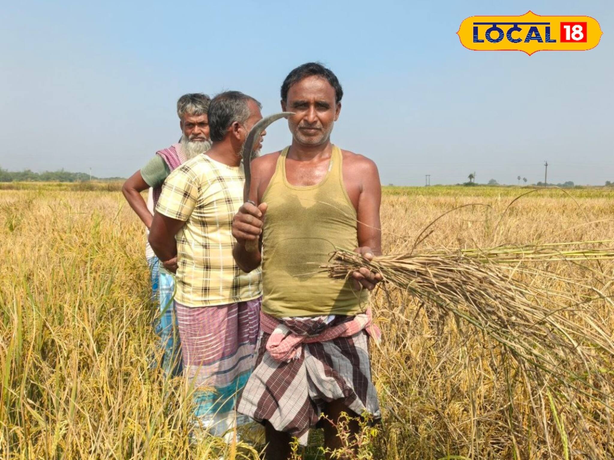 Agriculture News : বুক চাপড়াচ্ছেন চাষিরা, বাদামি শোষকের আক্রমণে নষ্ট ধান! ফসল রক্ষার উপায় বলে দিলেন কৃষি আধিকারিক