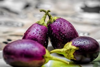 শীত পড়তেই হয় বেগুনপোড়া বা বেগুনভাজা! শরীরে এর প্রভাব কেমন, জানাচ্ছেন বিশেষজ্ঞ