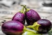 শীত পড়তেই হয় বেগুনপোড়া বা বেগুনভাজা! শরীরে এর প্রভাব কেমন, জানাচ্ছেন বিশেষজ্ঞ