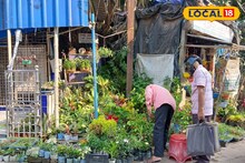Balcony Gardening : বর্ধমানে রয়েছে গাছপ্রেমীদের 'স্বর্গ', মাত্র ৬ টাকা থেকে শুরু দাম! কিনলে ফ্রিতে পাবেন পরিচর্চার টিপস