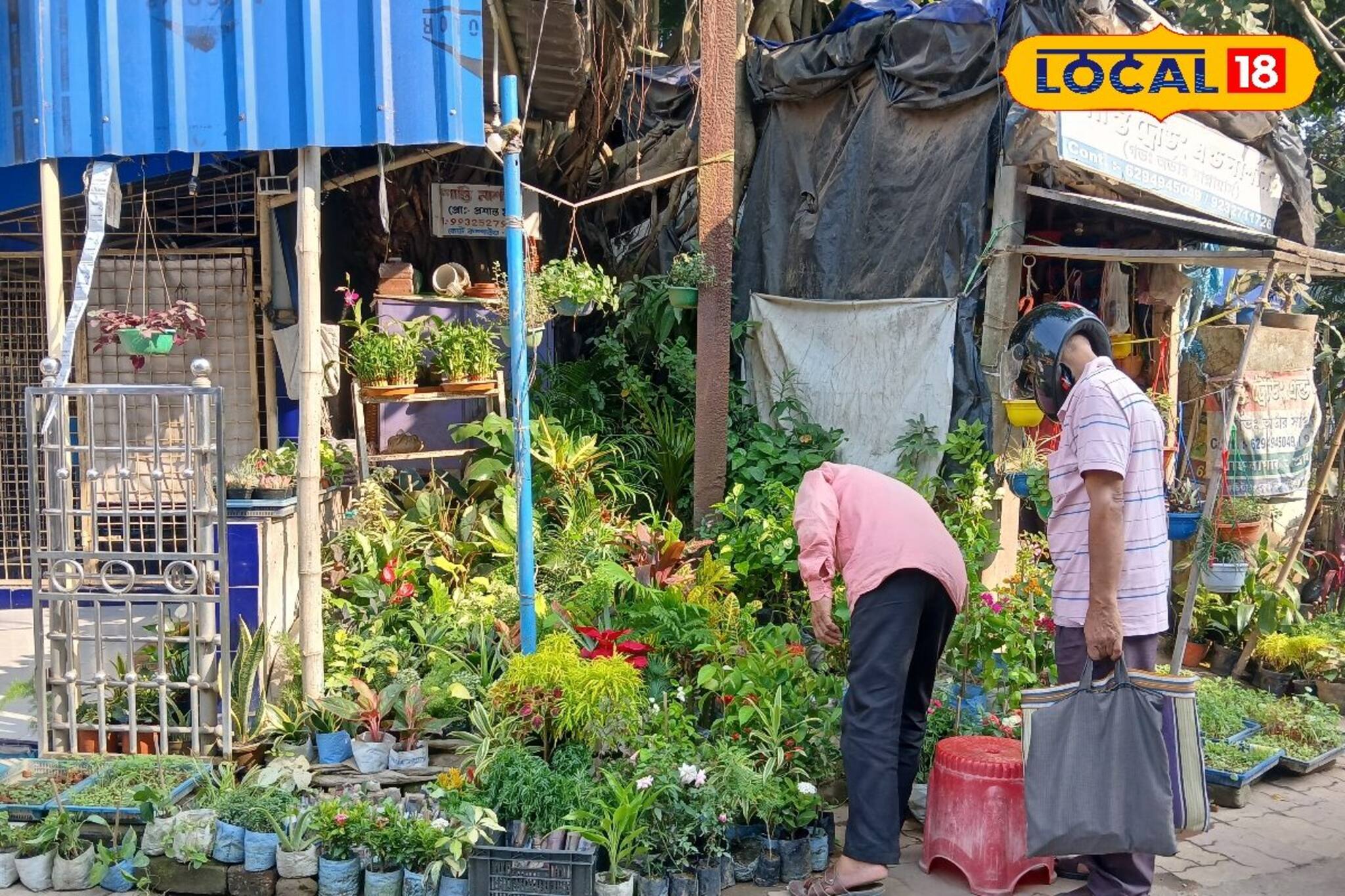 Balcony Gardening : বর্ধমানে রয়েছে গাছপ্রেমীদের 'স্বর্গ', মাত্র ৬ টাকা থেকে শুরু দাম! কিনলে ফ্রিতে পাবেন পরিচর্চার টিপস