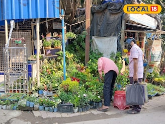 মাত্র ৬ টাকায় মিলবে গাছ, বর্ধমানের কার্জন গেট চত্ত্বরে গাছের মেলা! সঙ্গে ফ্রি টিপস