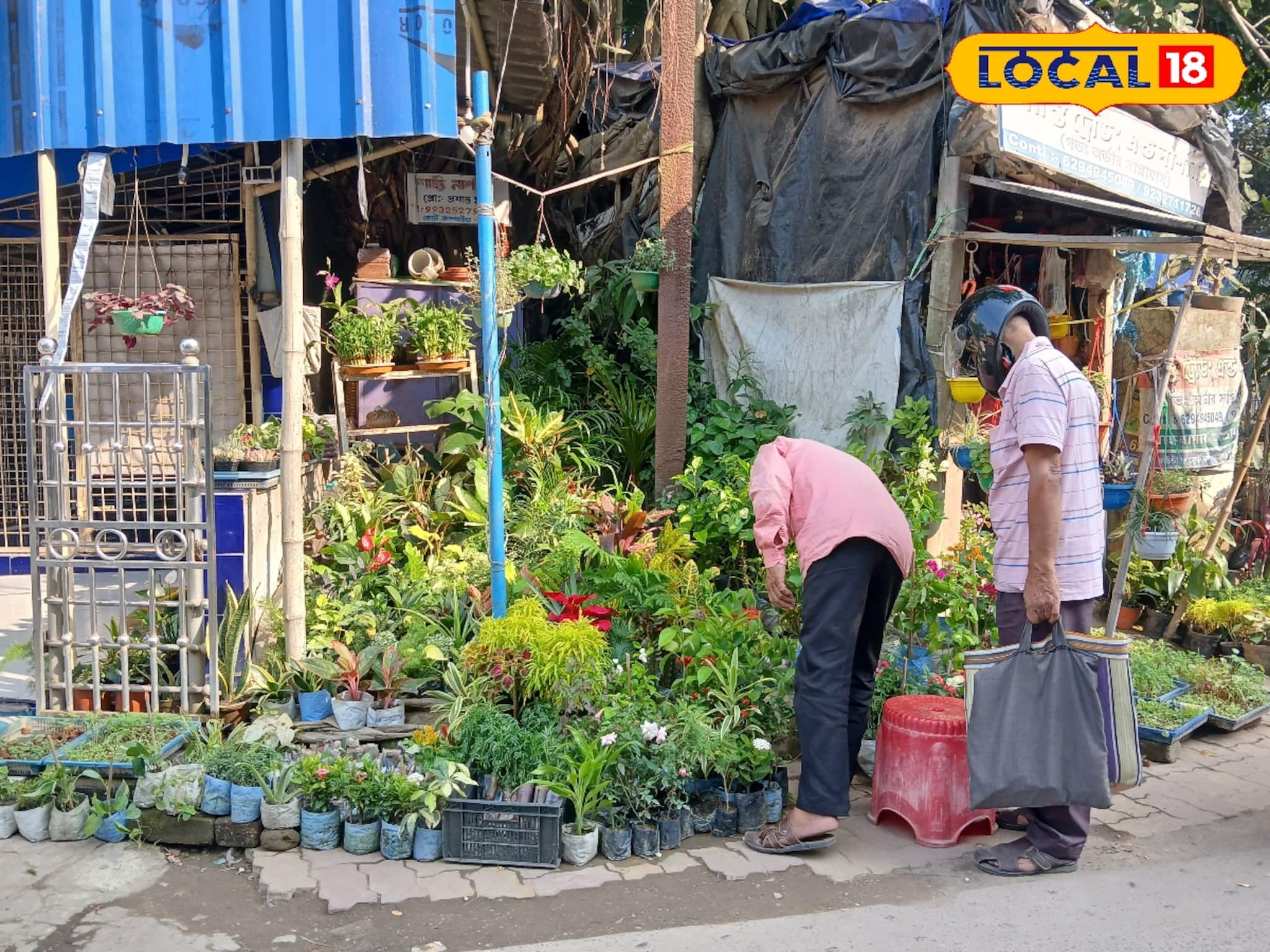 মাত্র ৬ টাকায় মিলবে গাছ, বর্ধমানের কার্জন গেট চত্ত্বরে গাছের মেলা! সঙ্গে ফ্রি টিপস