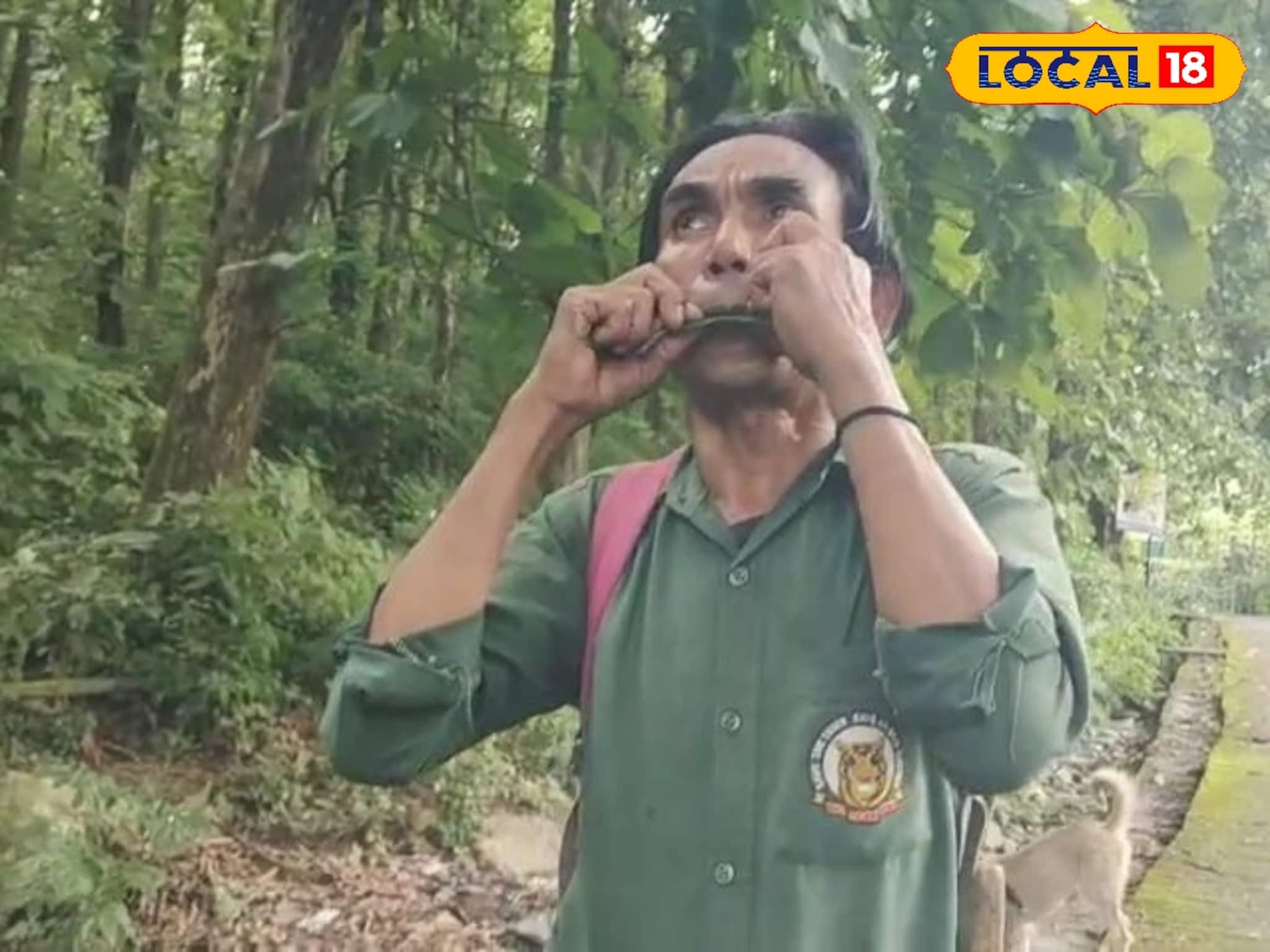 বক্সার ভাইরাল গাইড, টগর পাতায় তোলেন গানের কলি! পাতার বাঁশির সুর শুনে ধন্য ধন্য করেন সবাই