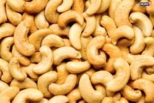 Cashew Health Benefits: প্রতিদিন কাজু খেলে কমবে ট্রাইগ্লিসারাইড, হার্ট থাকবে ফিট! জানাল নতুন গবেষণা