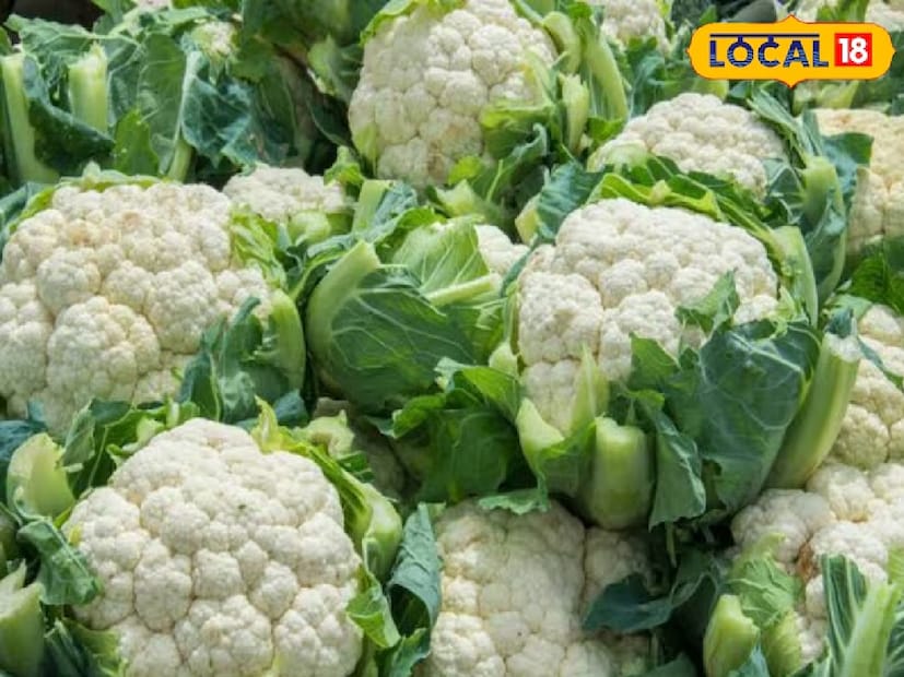 ফুলকপি খেতে যতটা সুস্বাদু, পরিষ্কার করতে ততটাই ঝামেলা—বিশেষ করে ভেতরে লুকিয়ে থাকা ছোট ছোট কীট বা পোকাগুলোর জন্য। বাইরে থেকে একদম টাটকা দেখালেও অনেক সময় ফুলকপির পাতার ভেতর জমে থাকে মাটি, ধুলো বা পোকা-মাকড়। ফুলকপি খেতে যতটা সুস্বাদু, পরিষ্কার করতে ততটাই ঝামেলা—বিশেষ করে ভেতরে লুকিয়ে থাকা ছোট ছোট কীট বা পোকাগুলোর জন্য। বাইরে থেকে একদম টাটকা দেখালেও অনেক সময় ফুলকপির পাতার ভেতর জমে থাকে মাটি, ধুলো বা পোকা-মাকড়।