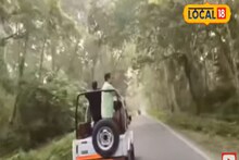 চিলাপাতা ঘুরতে গিয়ে যা যা দেখতে পারবেন !