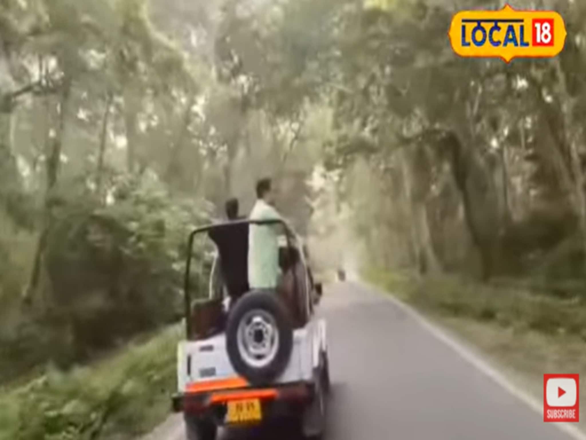 চিলাপাতা ঘুরতে গিয়ে যা যা দেখতে পারবেন !