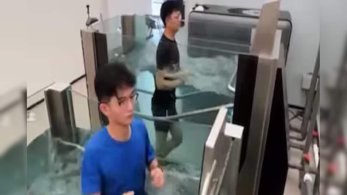 ‘দৌড়তে দৌড়তে কি প্রস্রাব করা যায়?’ চিনের আন্ডারওয়াটার ট্রেডমিল ভিডিও ভাইরাল, নেটপাড়ার প্রশ্ন ‘ওরা কি সাঁতার জানে না?’ ‘দৌড়তে দৌড়তে কি প্রস্রাব করা যায়?’ চিনের আন্ডারওয়াটার ট্রেডমিল ভিডিও ভাইরাল, নেটপাড়ার প্রশ্ন ‘ওরা কি সাঁতার জানে না?’