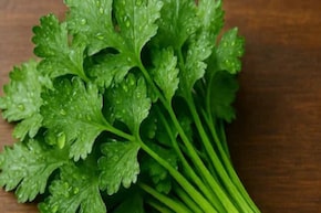 ধনেপাতা খেতে খুব খারাপ লাগে যাঁদের, তাঁরা ভাল করে পড়ুন! বিজ্ঞানসম্মত 'কারণ' রয়েছে এর পিছনে