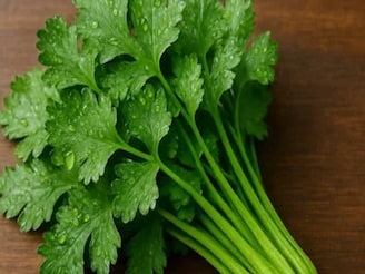 ধনেপাতা খেতে খুব খারাপ লাগে যাঁদের, তাঁরা ভাল করে পড়ুন! বিজ্ঞানসম্মত 'কারণ' রয়েছে এর পিছনে