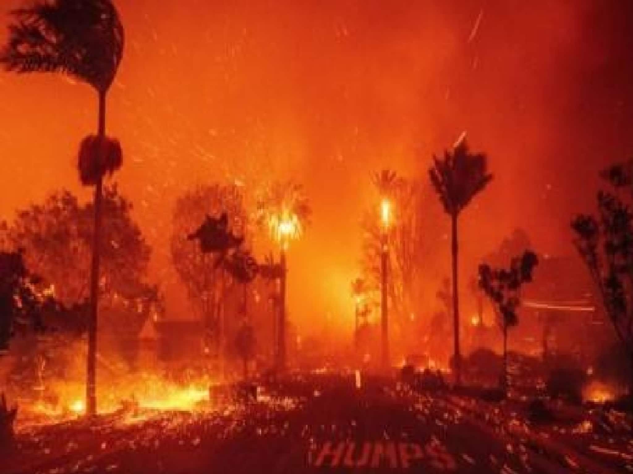 Delhi Explosion| দিল্লির লালকেল্লা মেট্রোর কাছে পর পর ৩ বিস্ফোরণ! দাউদাউ জ্বলছে... মৃত ১,  তদন্তে নাশকতার আশঙ্কা! দেখুন ভিডিও