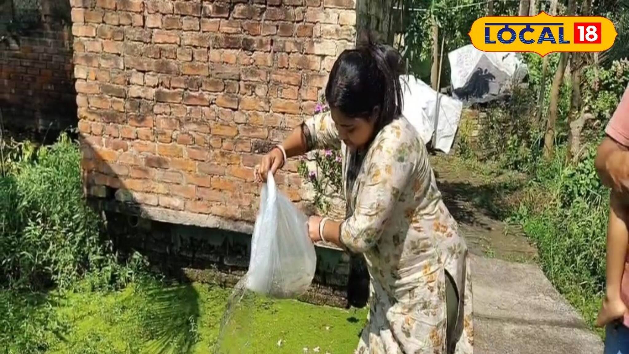 ডেঙ্গির প্রকোপ ঠেকাতে ভরসা গাপ্পি! শীতের শুরুতেই শহরতলীতে উঠে পড়ে নামল পৌরসভা